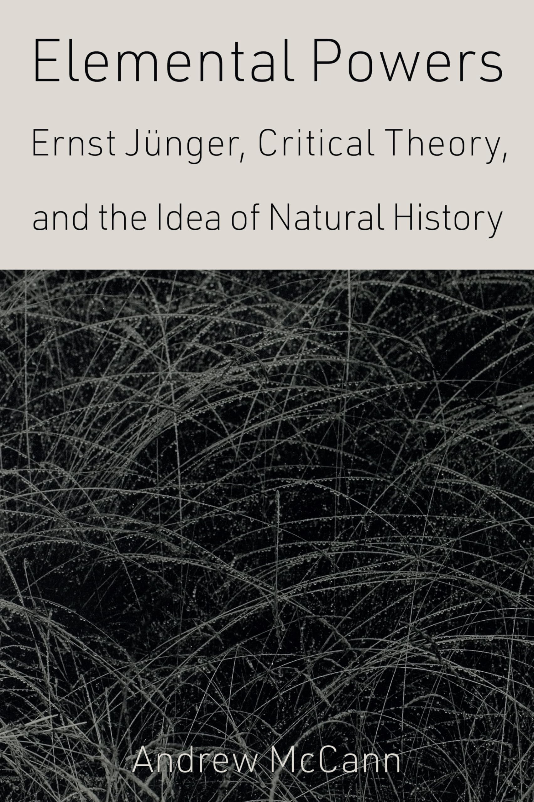 Elemental Powers: Ernst Jünger, Critical Theory, and the Idea of Natural History