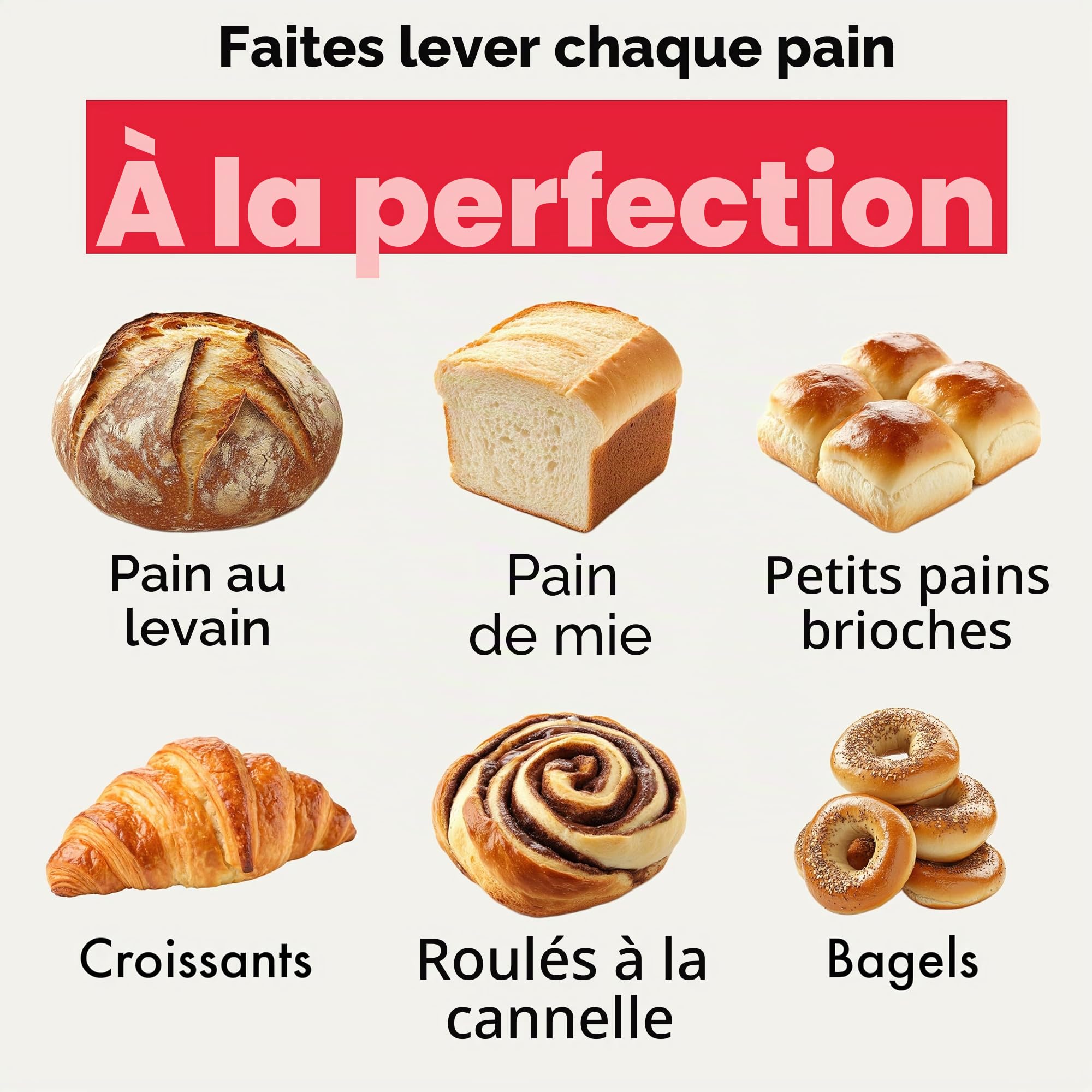 Brod & Taylor Chambre de pousse pliable avec étagère intégrée pour fermentation du pain et levain, contrôle précis de la température, pour boulangerie maison