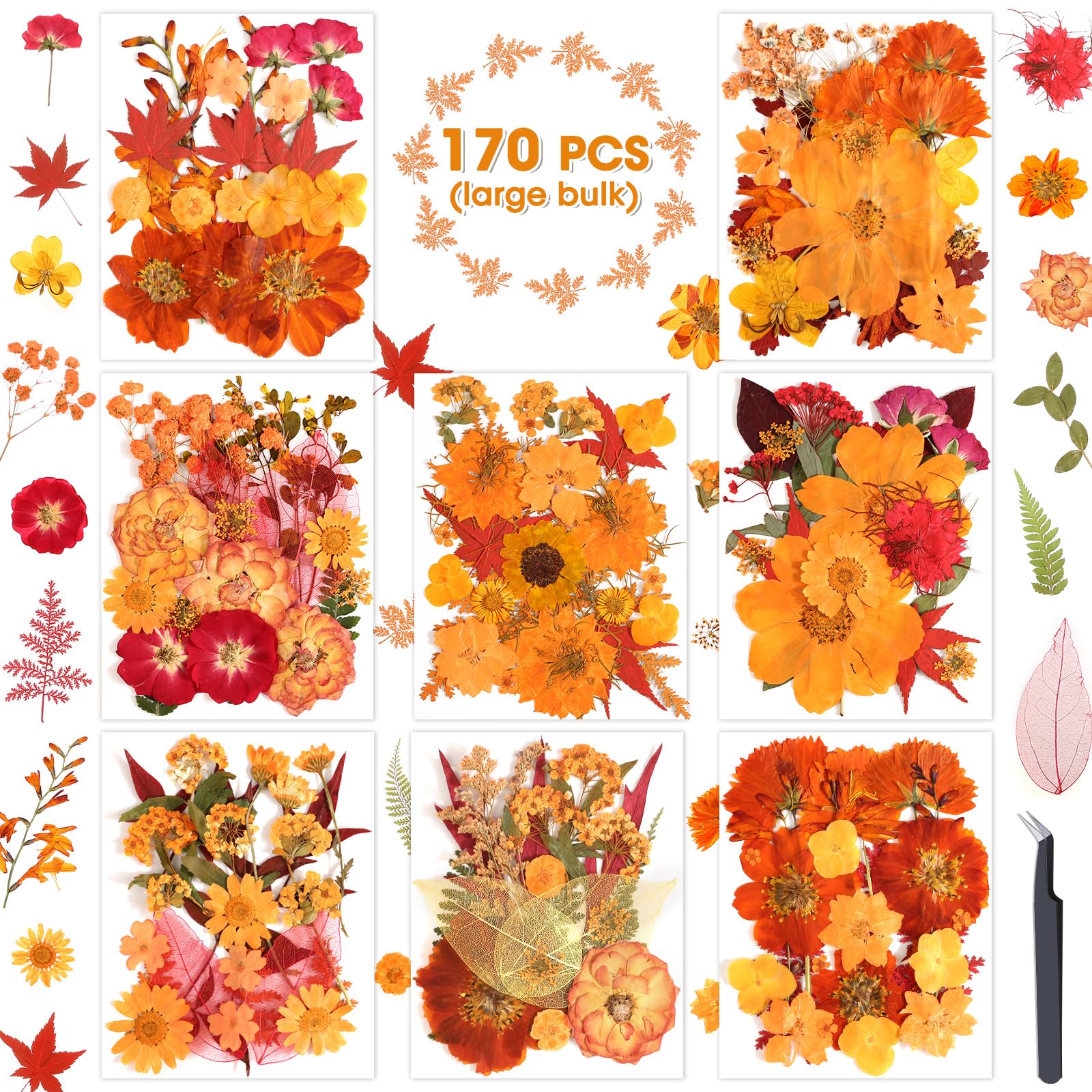 170 PCS Fall Dried Pressed Flowers with Tweezers, Real Nature Dried Flowers Orange Autumn Pressed Florals Set for Resin Scrapbooking Vase Candle Making Card Scrapbook Craft Floral Decors