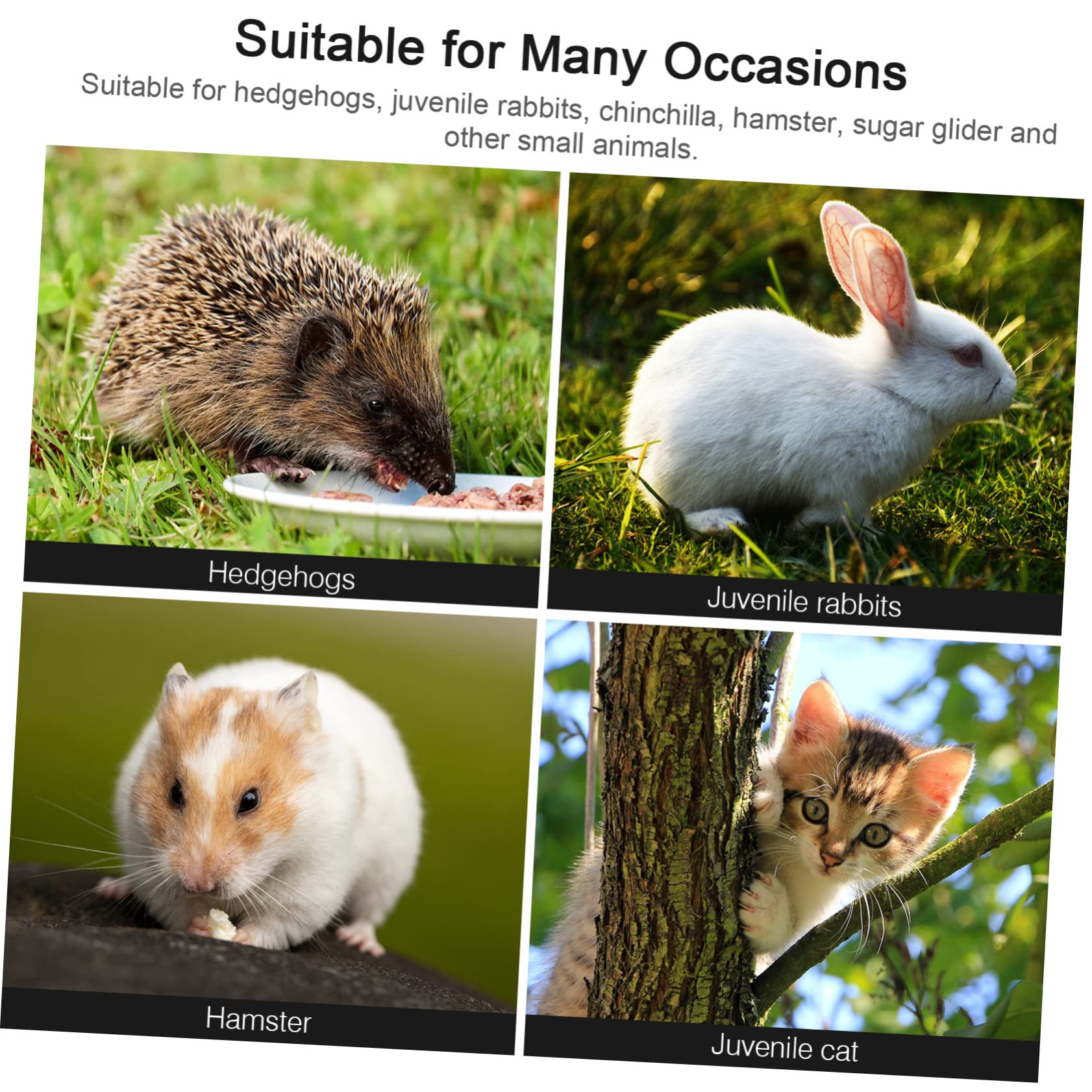 BESPORTBLE Giocattoli Da Masticare Per Criceti e Conigli Giochi Multifunzionali Per Animali Design Naturale e Sicuro Include e Confezione