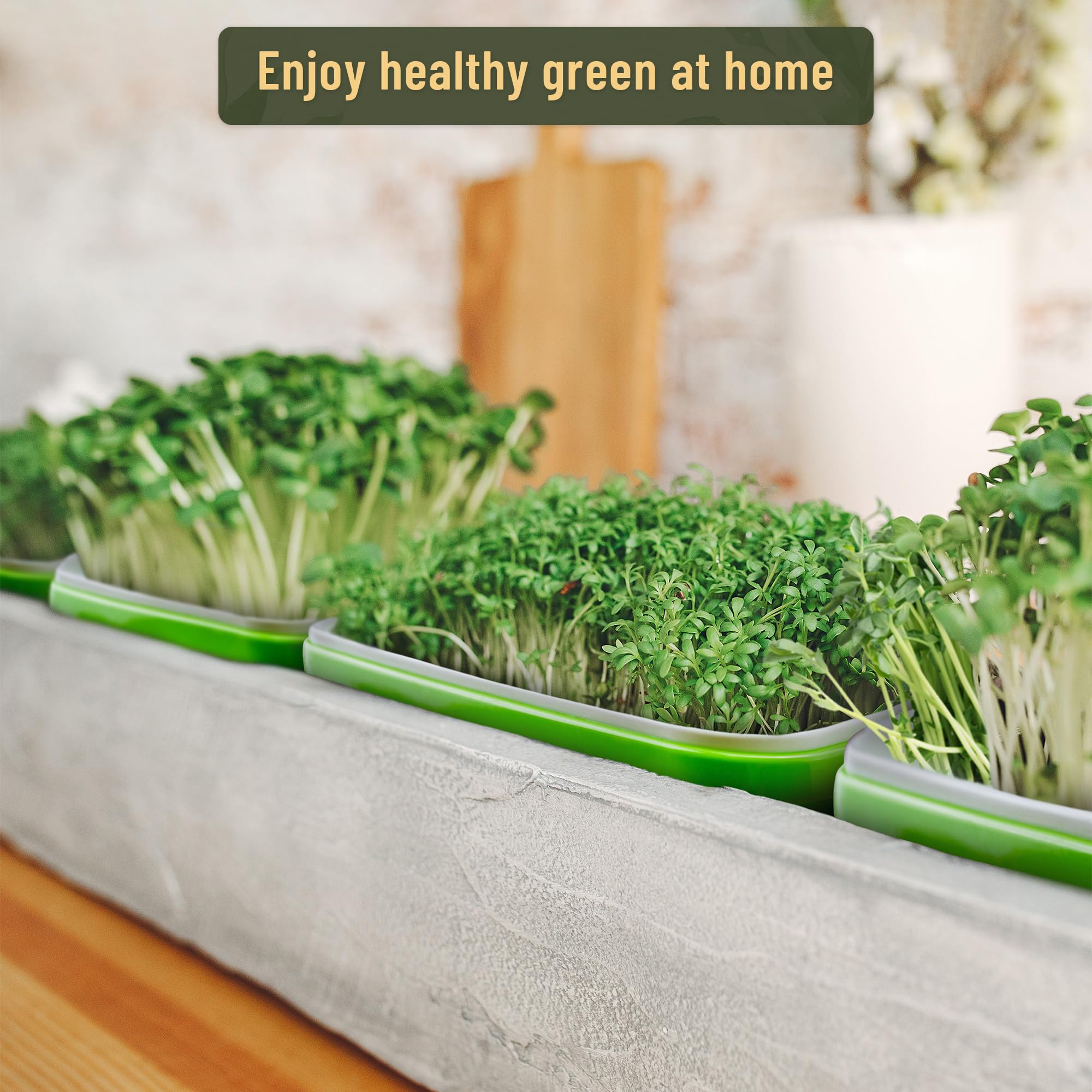 Lot de 10 plateaux de germination de graines avec trous de drainage, kit de germination des graines sans BPA, plateau d'herbe de blé sans terre, kit de culture de micropousses (vert)