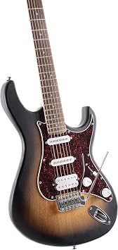 Cort Electric Guitar G110OPSB