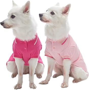 Blueberry Pet Back to School 2-Pack Prep School Style Dog Polo Shirts | Cotton Outfit for Small Pets in Amaranth Red + Pink, Back Length 16 inch