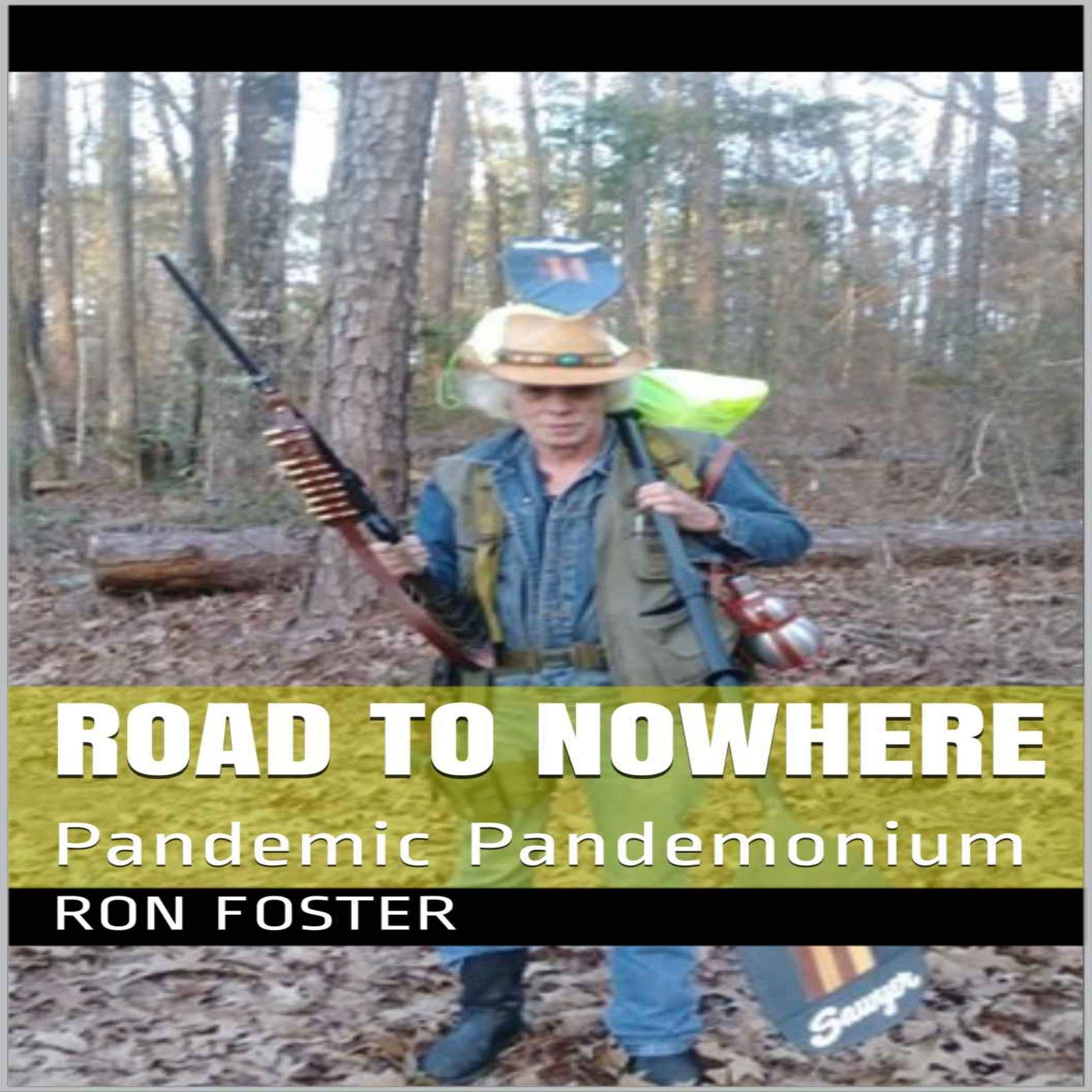 Cover art for Road to Nowhere: Pandemic Pandemonium