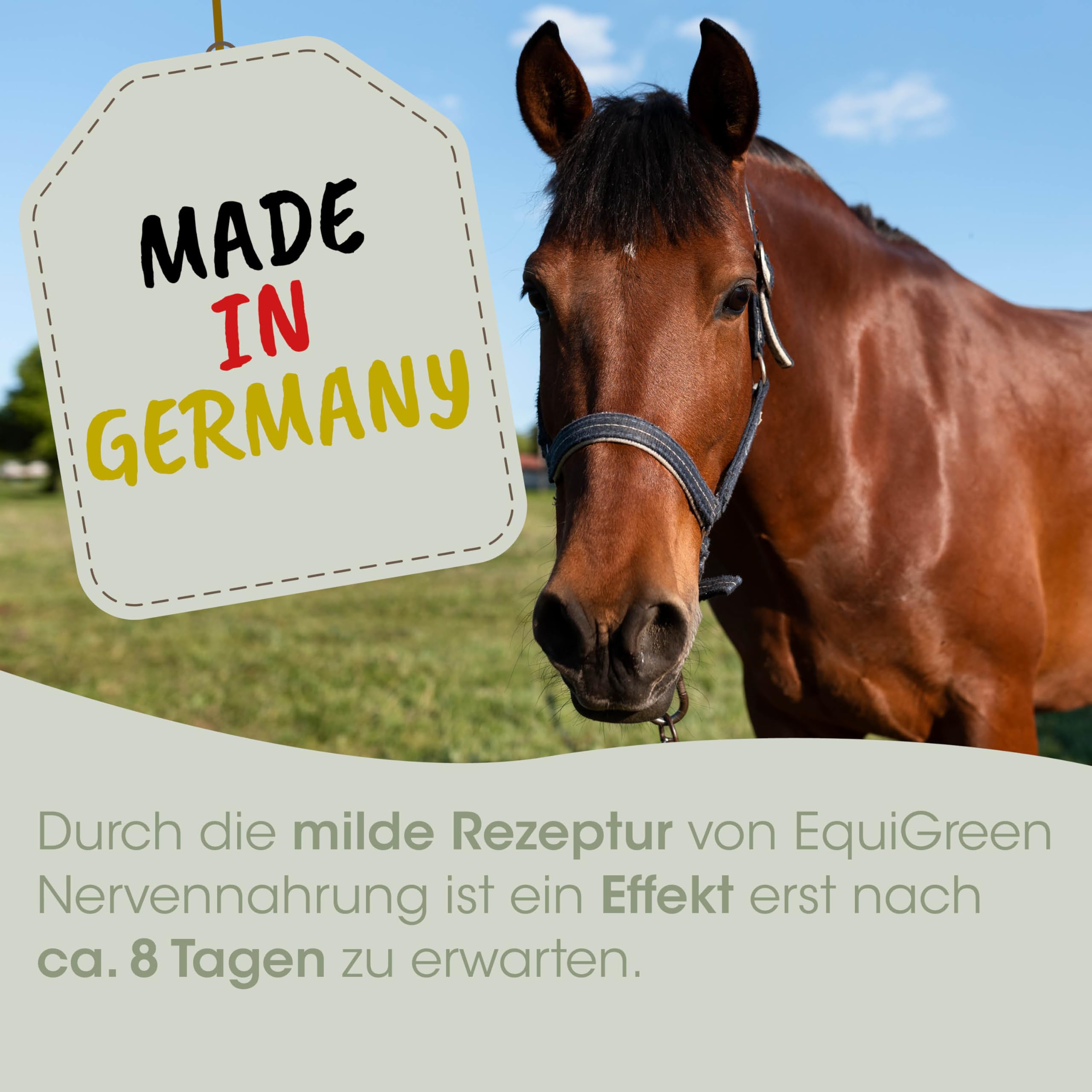 cdVet EquiGreen Nervennahrung 2 kg - Nahrungsergänzung für Pferde und Ponys zur Unterstützung für eine bessere Entspannung und mehr Nervenstärke