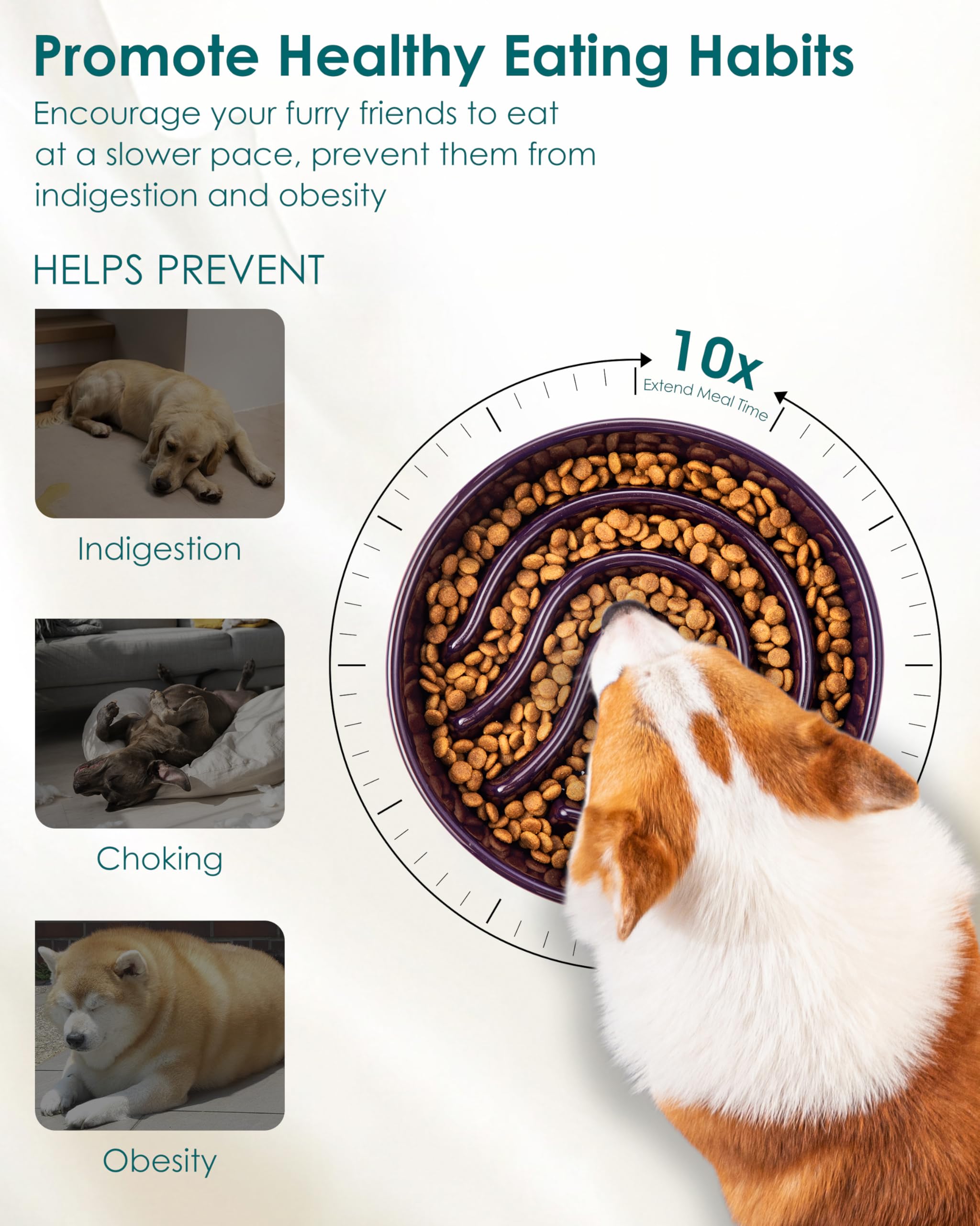 View 3