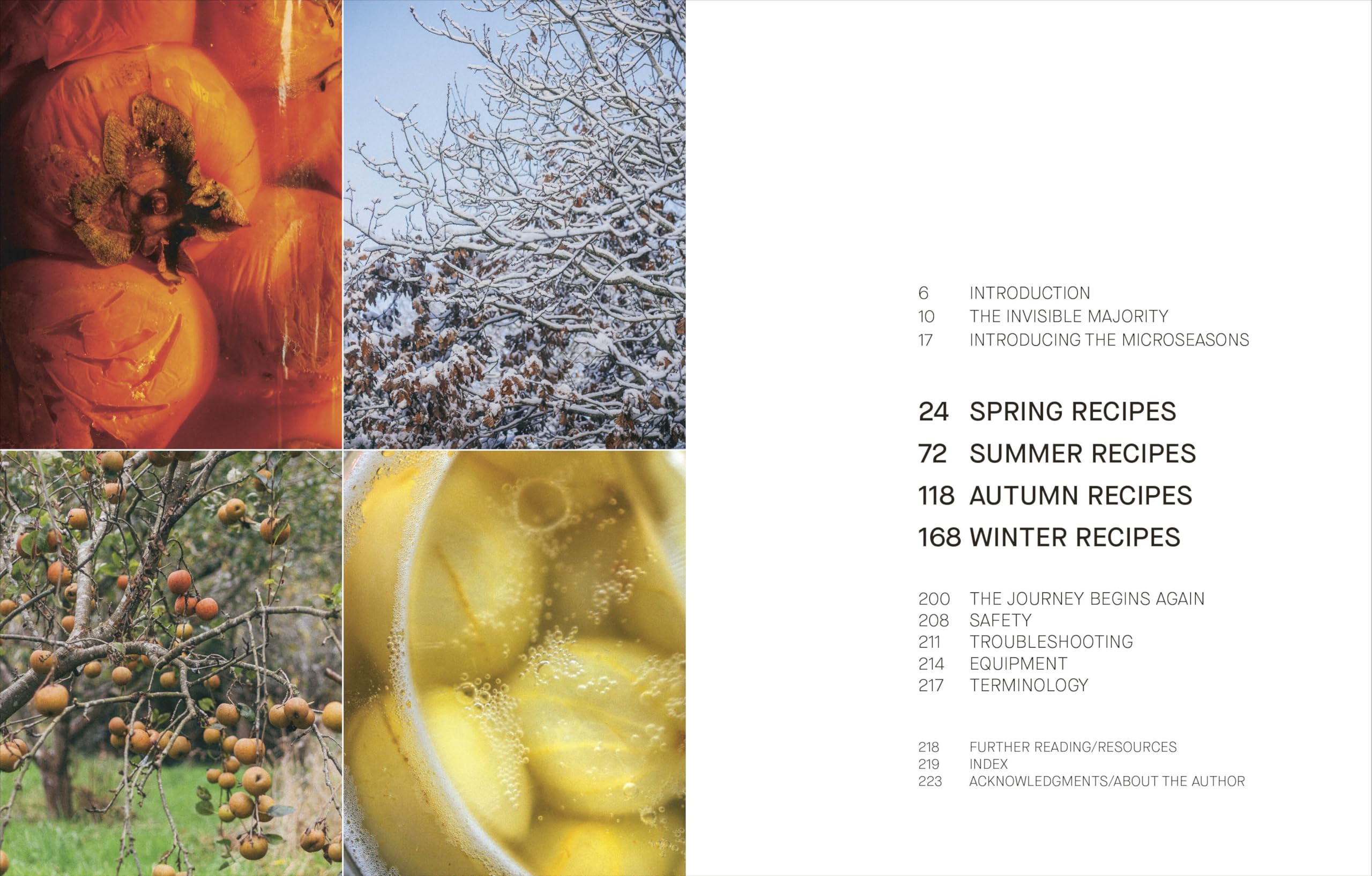 A Year of Fermentation: A Seasonal Guide to the Art & Science of Fermentation