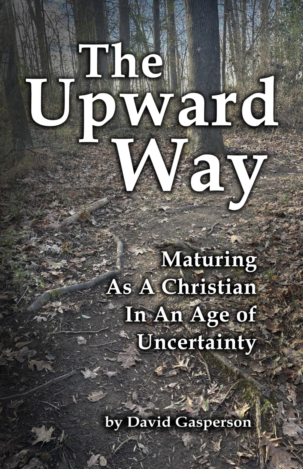 The Upward Way: Maturing As A Christian In An Age of Uncertainty