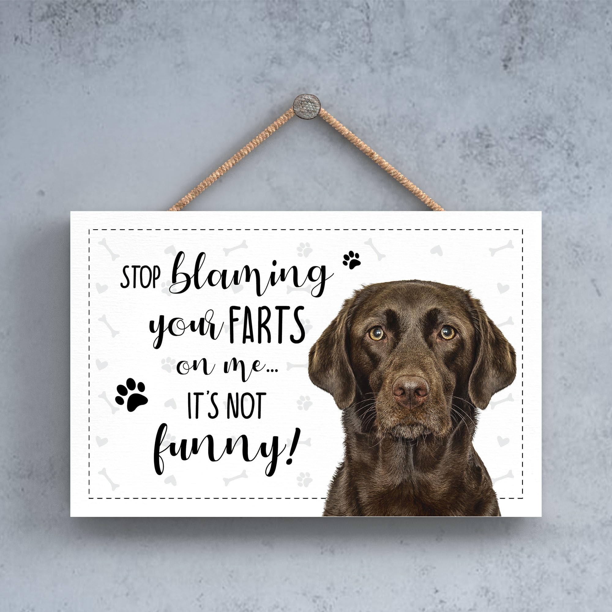 Chocolate Labrador Plaque Sign Dog Stop Blaming Me Farts Its Not Funny Novelty 12x18.5cm