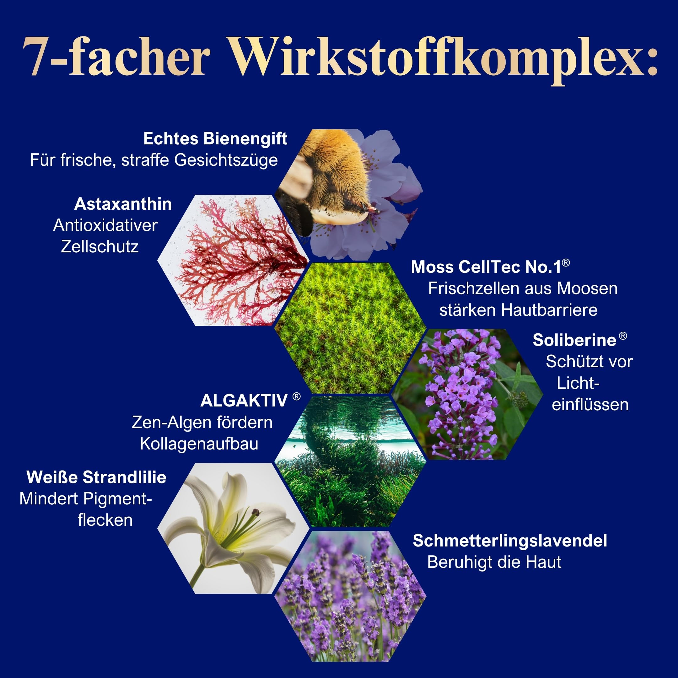 Schloßwald Bienengut Elixier Royal Bienengift Serum 20 ml – Gesichtsserum Naturkosmetik Overnight Repair Hautserum | Hochaktives Repair-Elixier Gesichtsserum, Aufbau-Serum, Naturkosmetik, unterstützt Kollagenaufbau, Overnight Repair Hautserum
