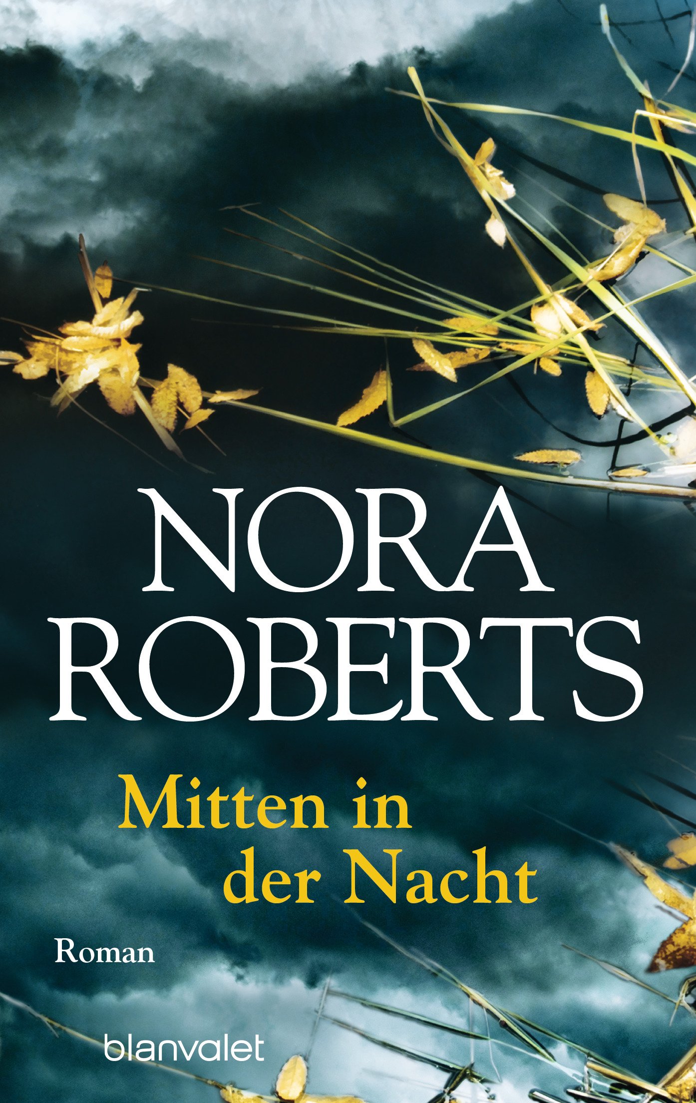Blanvalet Taschenbuch Verlag Mitten In Der Nacht: Roman
