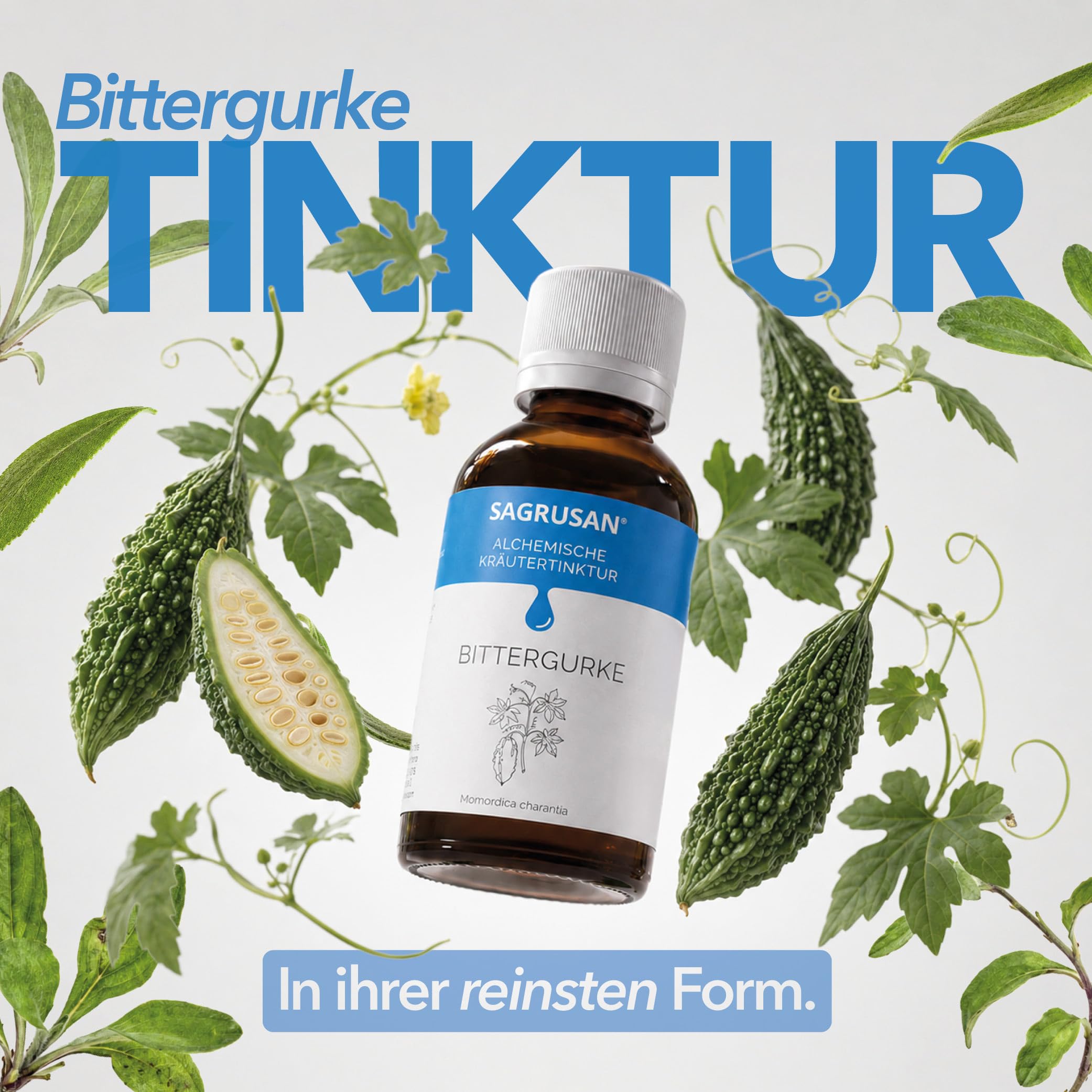 Bittergurke Tinktur 100 ml Momordica Charantia Tropfen vegan Bio Extrakt Bittermelone Karela Goya Kräuter Tinktur Pflanzenextrakt 65% Alkohol Braunglas ohne Farbstoffe Premium Qualität.