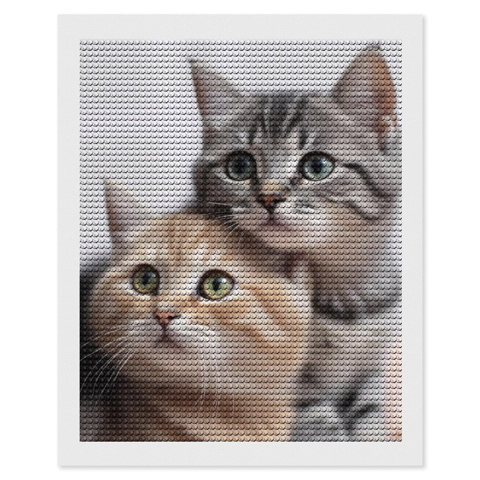 FodPand Diamond Art Kits for Adults, 5D Aurora Diamond Painting Kits for Beginners, Cats DIY Full Drill Dots Gem Art Paint Crafts for Home Wall Decor 16"x20"