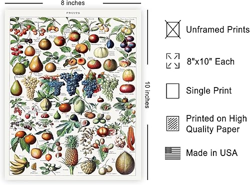 Miniatura 140 de Poster Master Póster vintage de orquídea, estampado de flores retro, arte de pared de plantas exóticas, arte botánico, regalo para hombres y