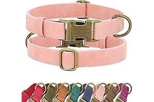 Didog Dog Collar for Safety, Comfort & Style: Your Dog's Perfect Match