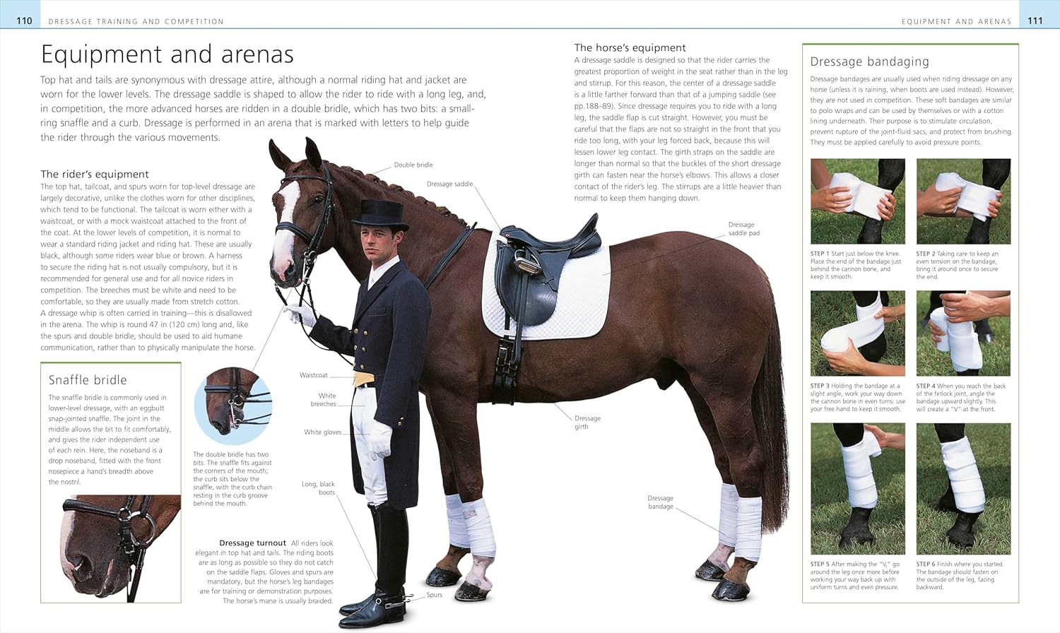 Complete Horse Riding Manual (DK Complete Manuals) - Image 6