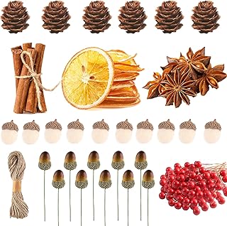 YODEN 270 Pcs Christmas Wreath Making Supplies, Dried Orange