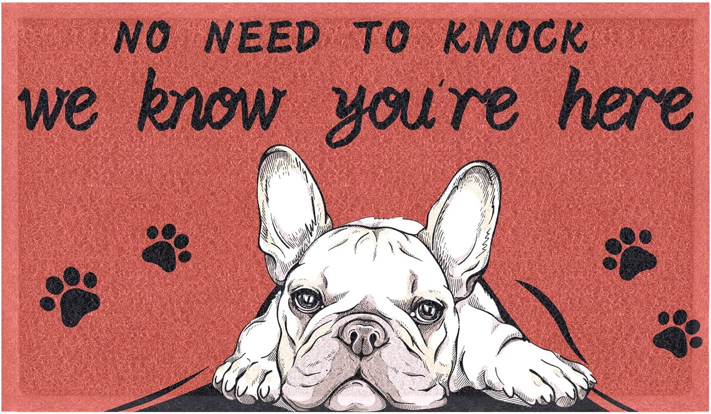 comfoyar Summer Door Mat, Dog Mats Outdoor, Low