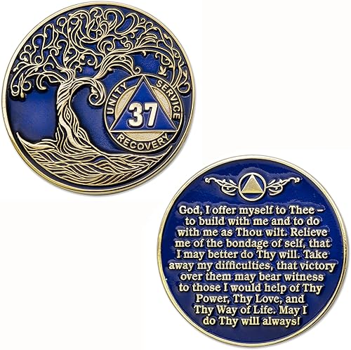 Miniatura 107 de 17 años Sobriety Mint Twisted Tree of Life - Medallón de recuperación AA/NA chapado en oro, fichas y fichas, color blanco