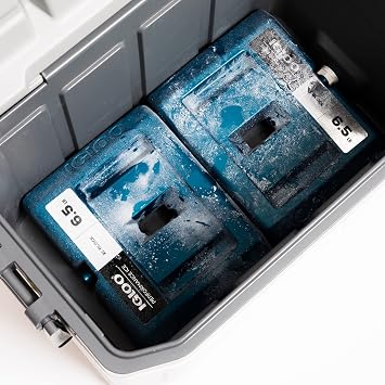 Igloo Performance Ice Blocks, Reusable Freezer Ice Packs for Coolers