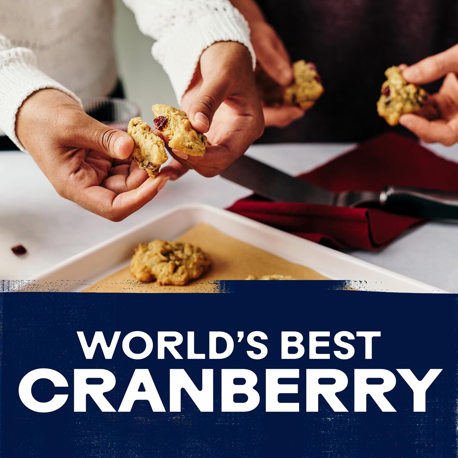 ® Craisins® Original Dried Cranberries, Dried Fruit, Pouch