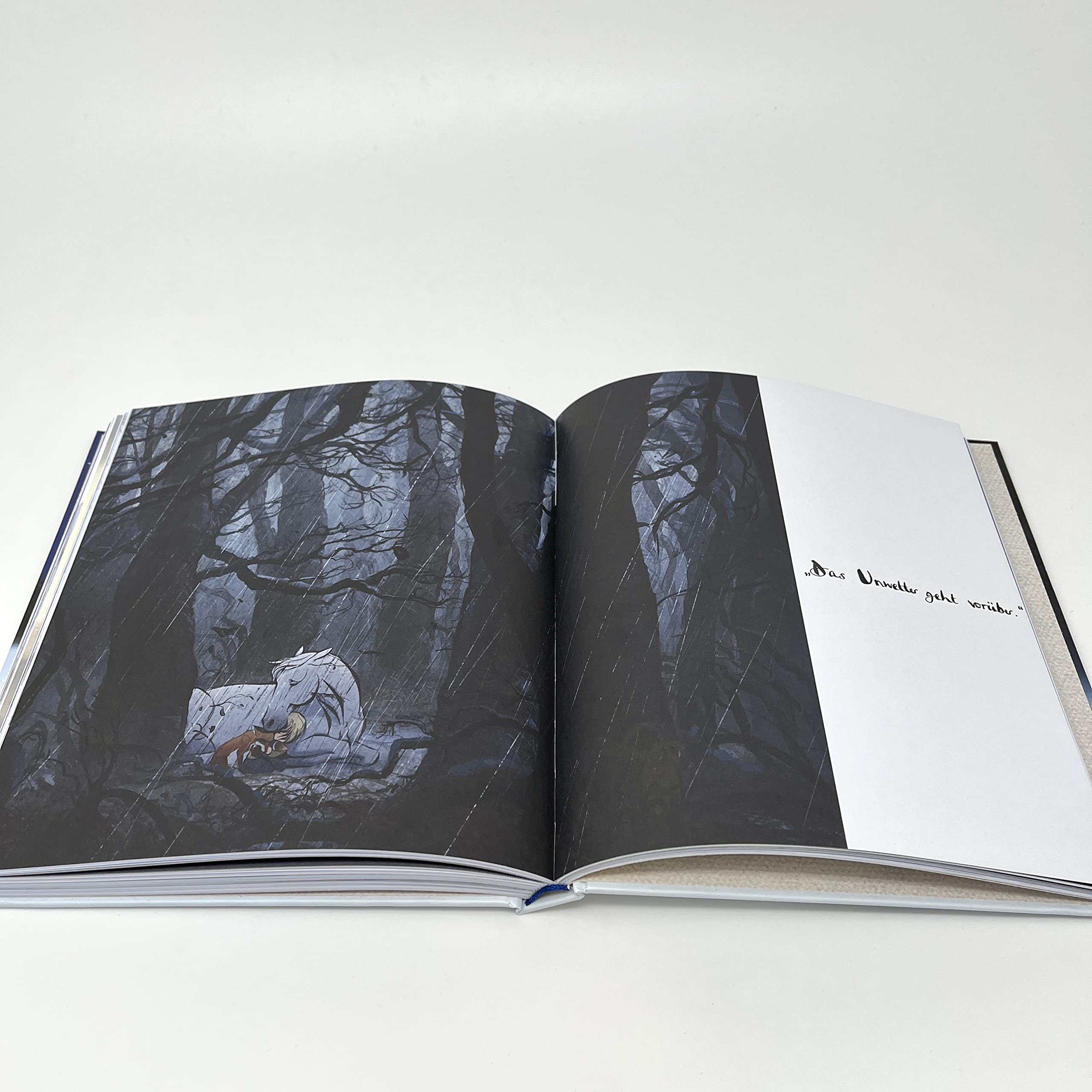 Der Junge, der Maulwurf, der Fuchs und das Pferd. Eine bewegte Geschichte: Der Oscar-Gewinner 2023 - ein Buch, so schön wie eine Umarmung