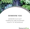 NaturesPlus PRO Berberina 1500 mg - 60 tabletas - Apoya el metabolismo saludable - No transgénico, vegano y sin gluten - 30 porciones, tabletas de 60 unidades (paquete de 1) 7
