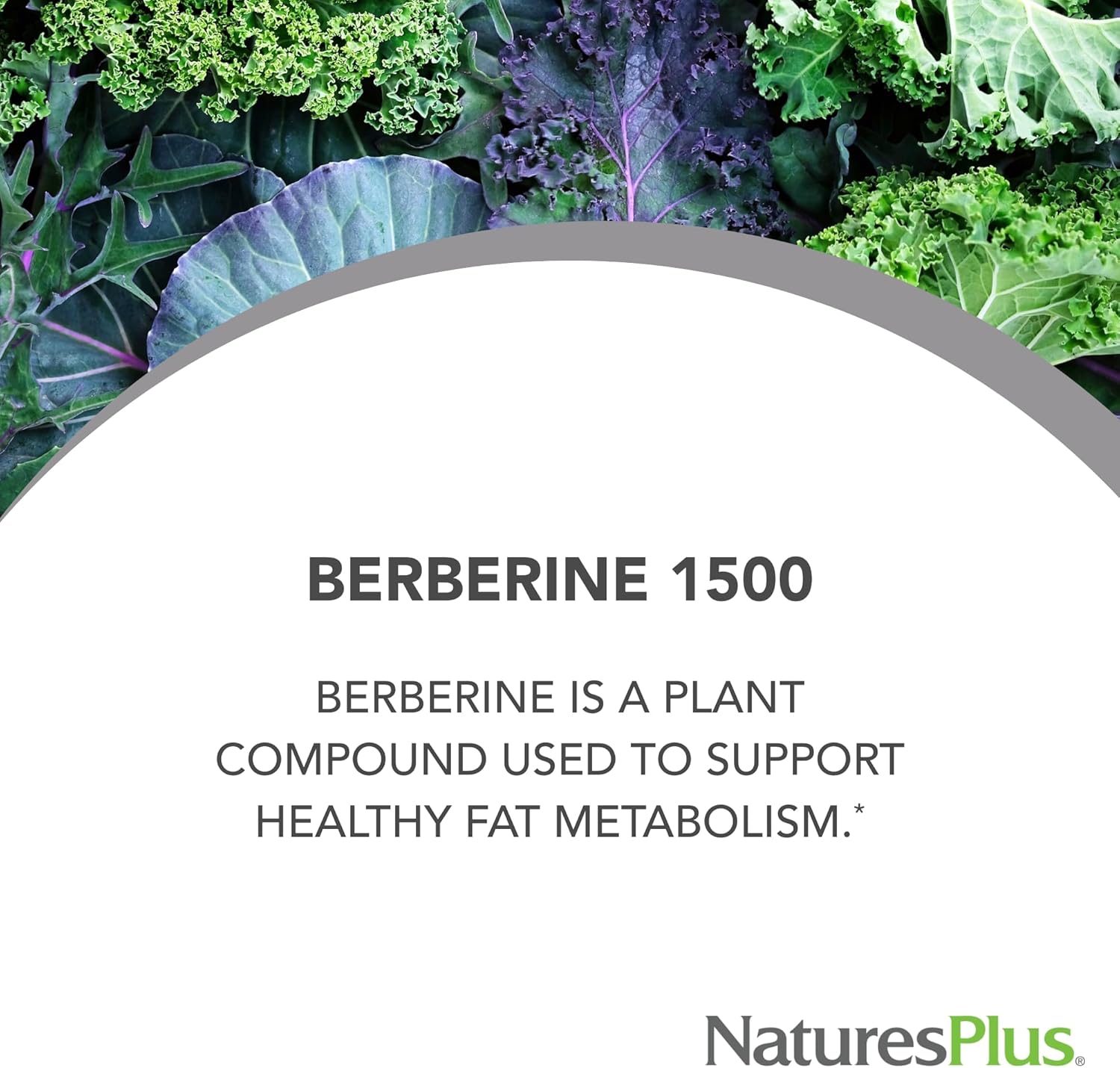 Natures Plus PRO Berberine 1500 mg - 60 Tablets - Supports Healthy Metabolism - Non-GMO, Vegan & Gluten Free - 30 Servings - Image 4