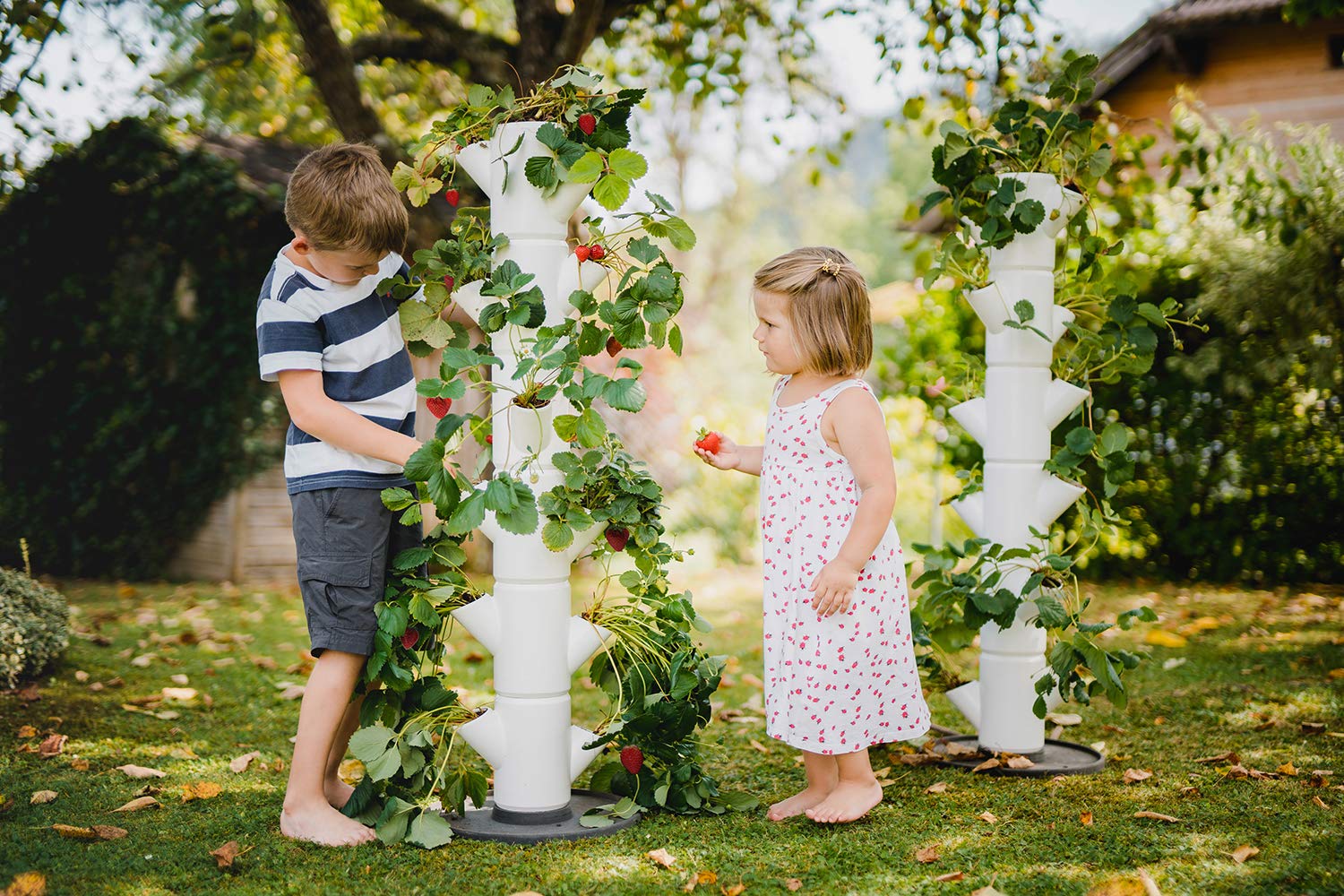 GUSTA GARDEN Fraisier Suspendu Sissi Strawberry Blanc – 77 Cm – 10 L De Terre – Culture Verticale Fraises & Herbes Sur Balcon, Jardin Ou Terrasse