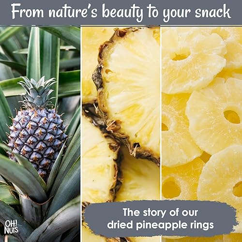 Miniatura 9 de Oh! Nuts Piña seca – 1.5 libras – trozos de fruta seca – Menos azúcar añadido – Bocados de frutas deshidratados – Empaquetado en bolsa con cierre
