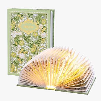 Book Lamp Decor, Rechargeable Book Light for Book Lovers