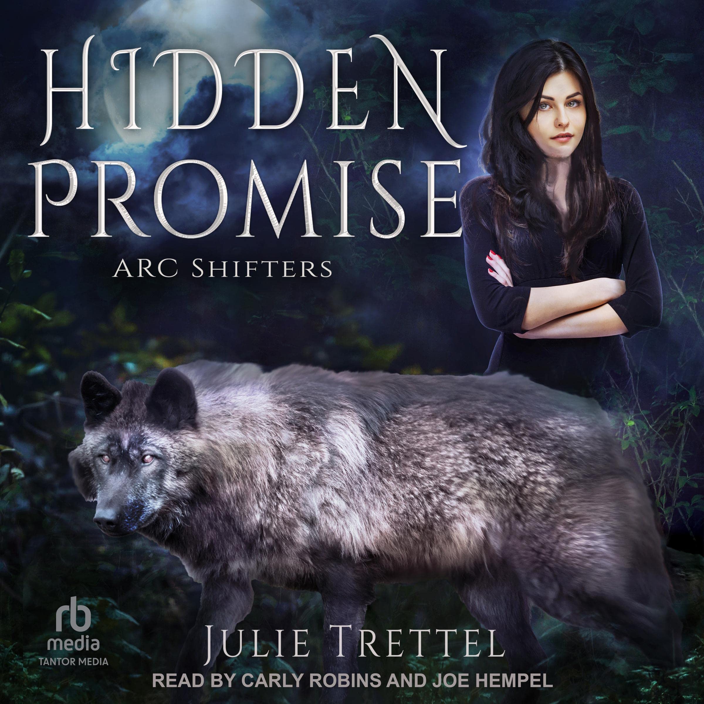 Cover art for Hidden Promise