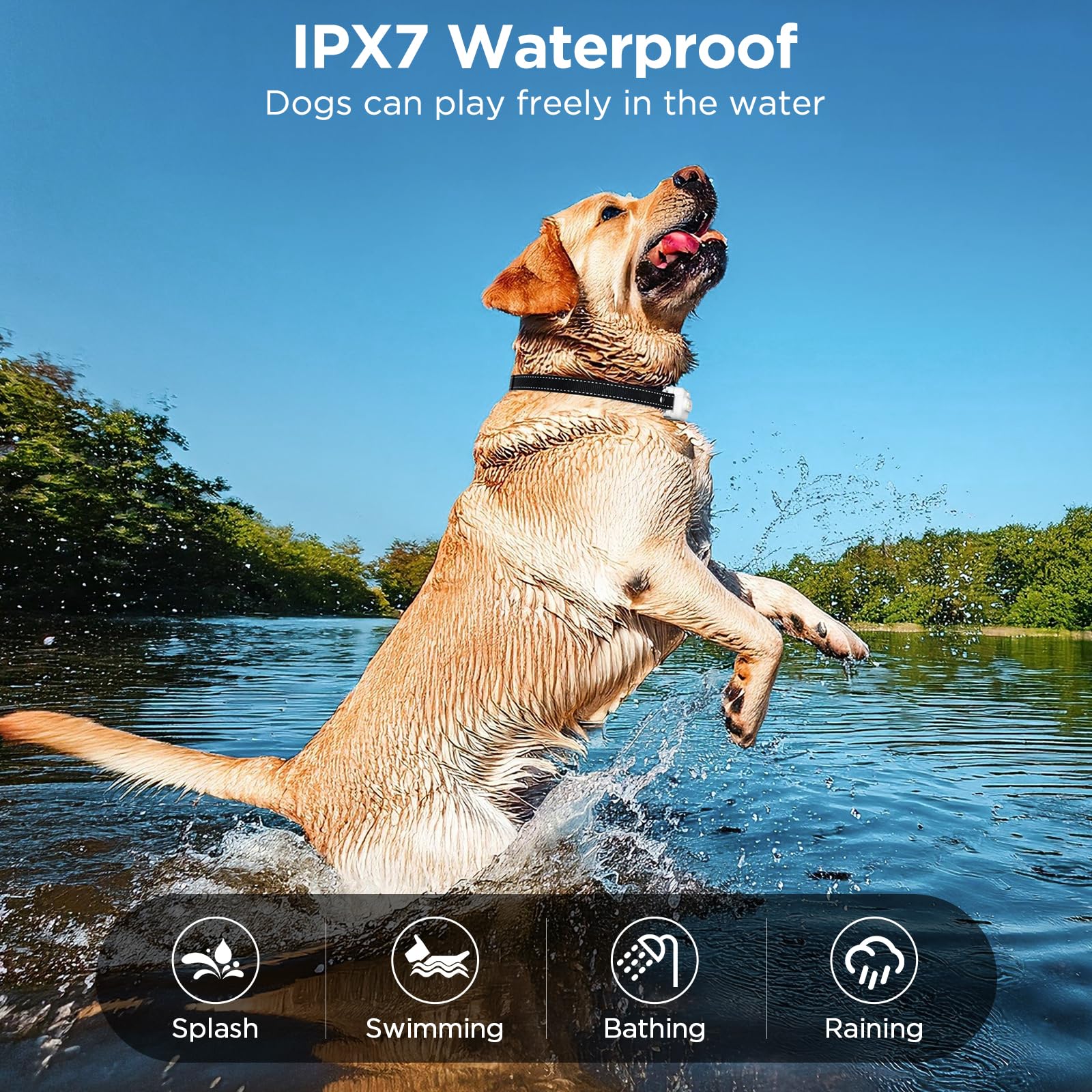 Dog Shock Collar, 3300ft Dog Training Collar with Remote, IPX7 Waterproof Rechargeable Sleek Modern Shock Collar for Small, Medium, Large Dogs with Beep, Vibration, Safety Shock, Light Mode, 8-120 lbs - image 5