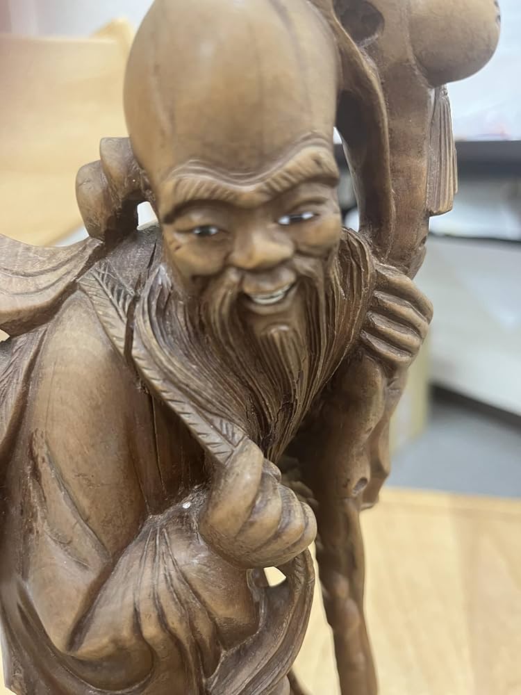 呪い人形 : 恐怖伝奇選集(初版レア‼️) Amazon.co.jp: 呪い人形 (集英社文庫) : 望月 諒子: 本