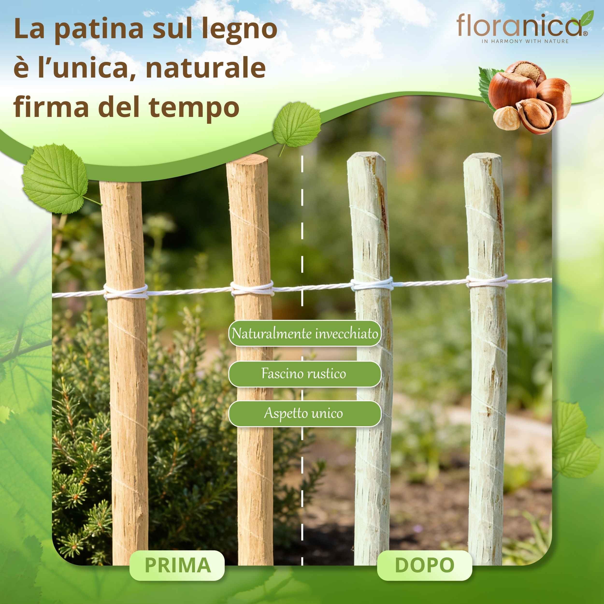 Floranica 6 x palo per recinzione in nocciolo altezza 90 cm palo per recinzione a paletti pali di legno appuntito supporto per alberi