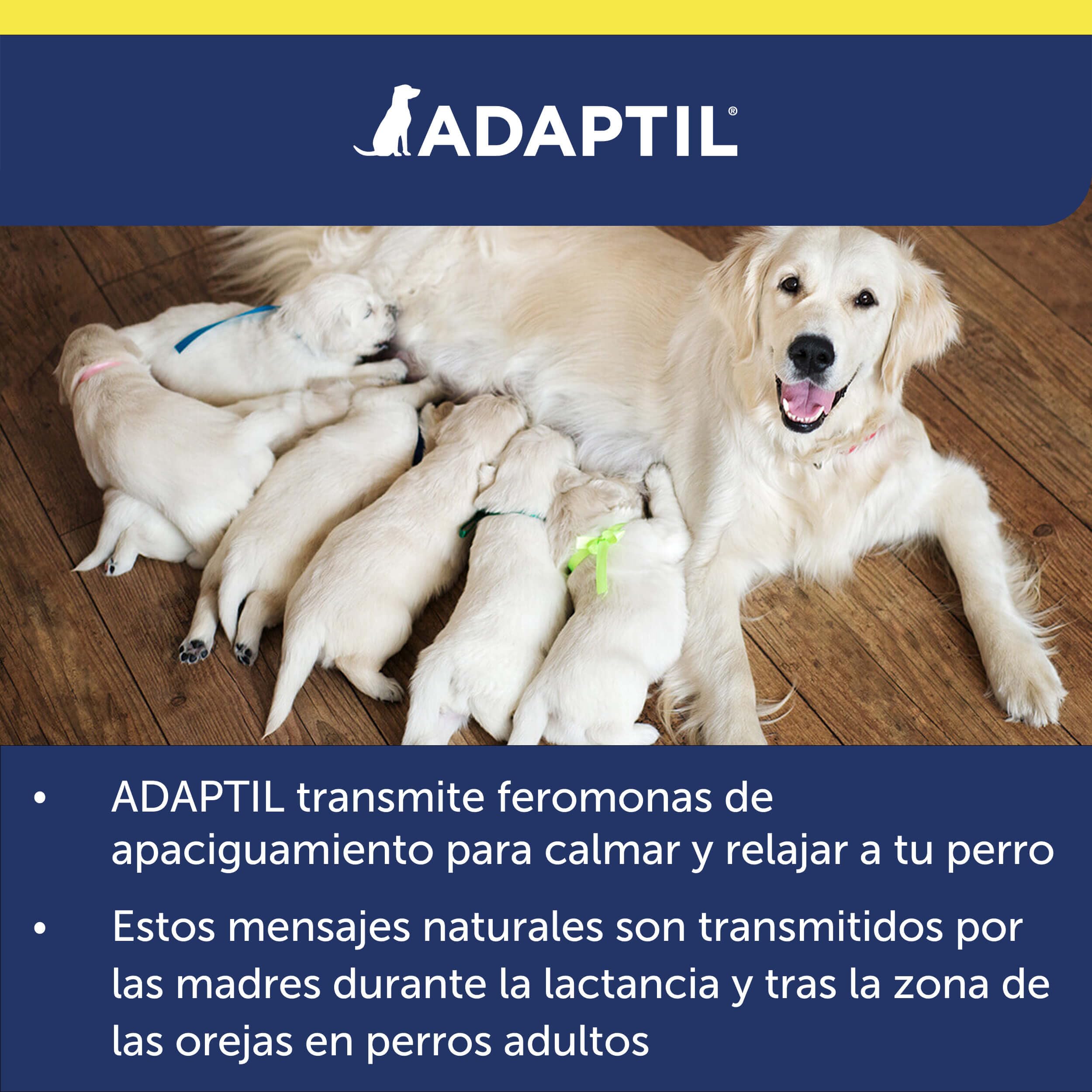 Adaptil Transport - Antiestrés para Perros - Viajes, Transporte, Temblores, Lloros, Jadeos, Inquietud, Tensión - Spray 60 ml