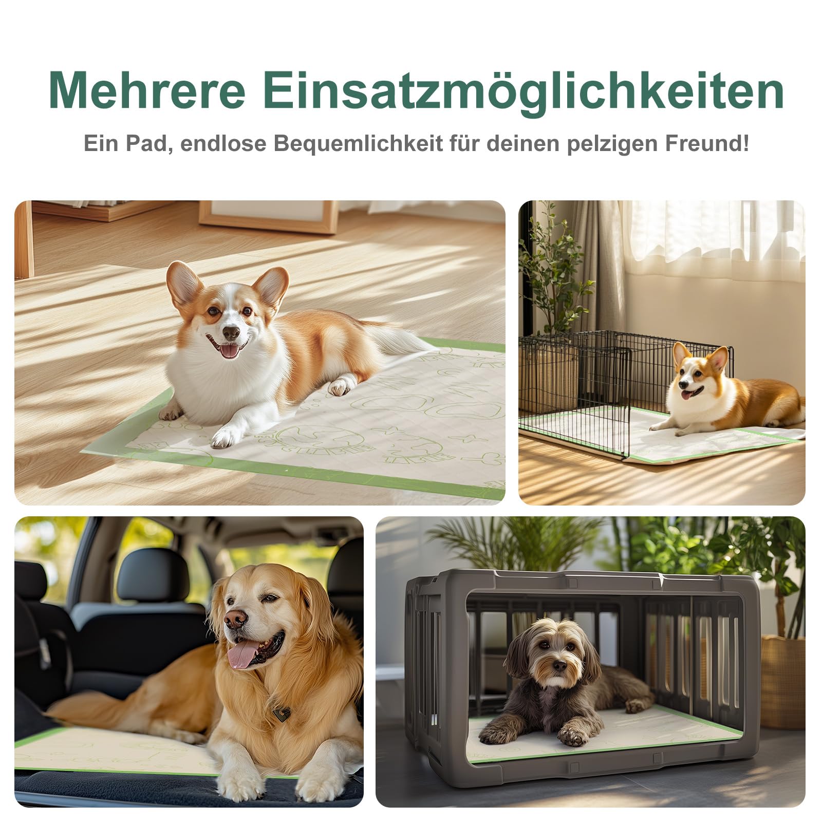 Gardner Pet PIPI Matten für Hunde mit Klebestreifen, 60x90 cm, 50 Stück | Mit Klebestreifen, Super Saugfähig, Rutschfest, Einweg-Trainingspads, Für Kiste/Käfig/Transportbehälter