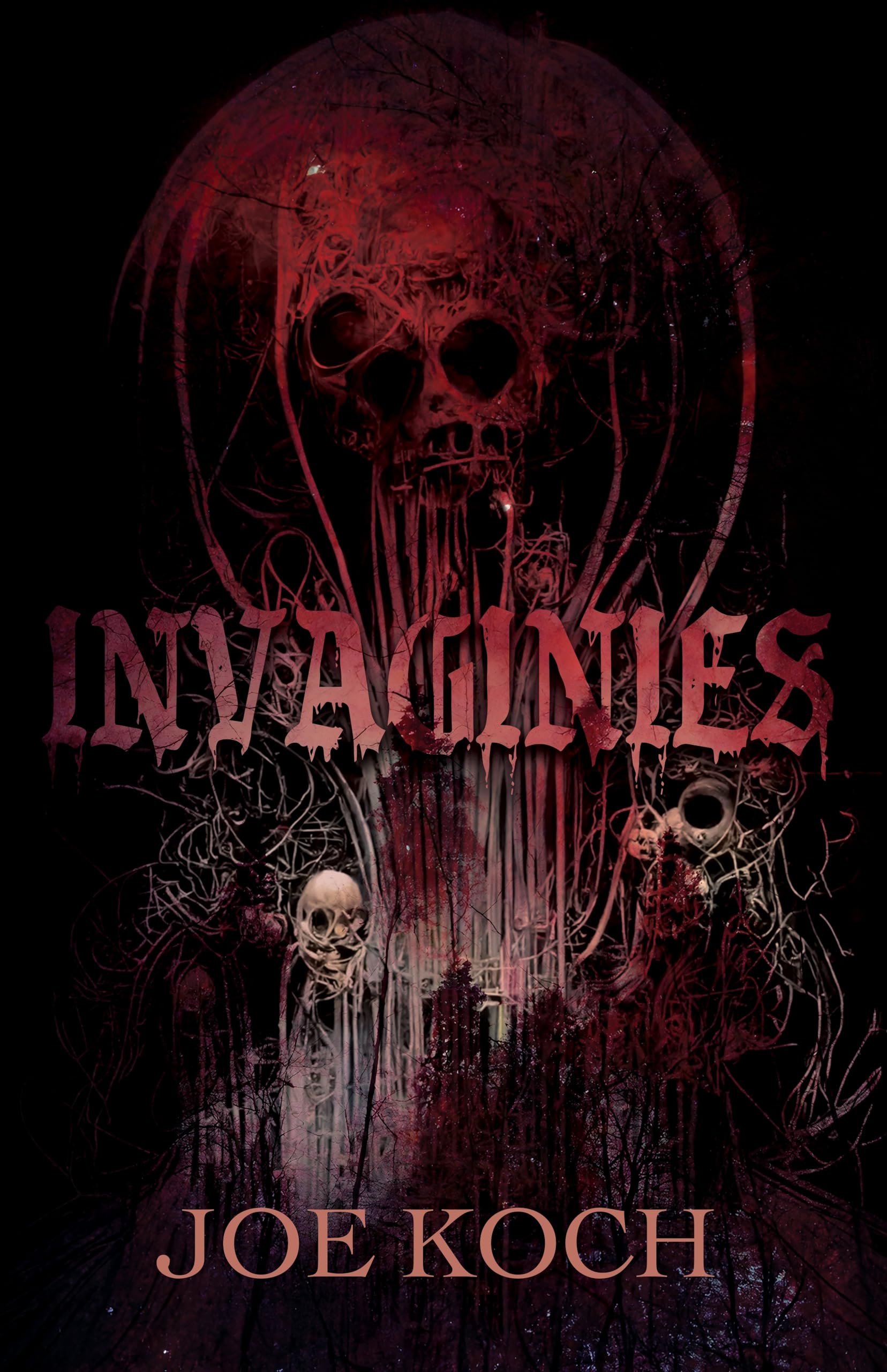 Invaginies by Joe Koch (Paperback Book)