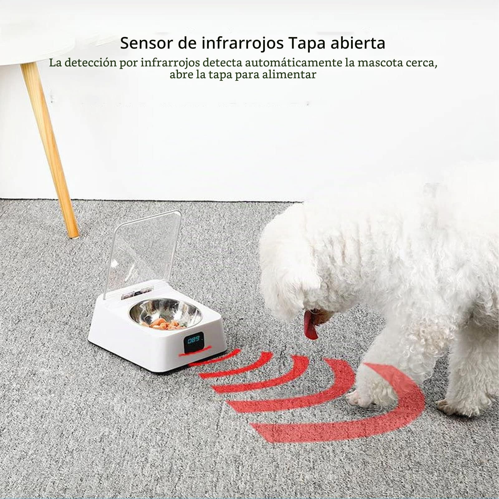 Cuenco de Alimentación Inteligente Automático para Gatos, Comedero Sensible para Mascotas, Tapa Que Evita Resbalones, Inducción IR para Mascotas Pequeñas, Comedero para Gatos
