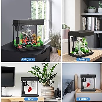 邦楽 Think Tank EAT ONE 12inch Small Fish Tank with Light