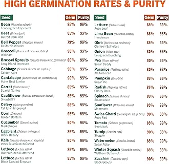 Open Seed Vault 15,000 Non GMO Heirloom Vegetable Seeds for Planting Vegetables and Fruits - 32 Variety Pack of Vegetable Seeds for Gardening, Survival Gear, Seed Vault Emergency Supplies Kit