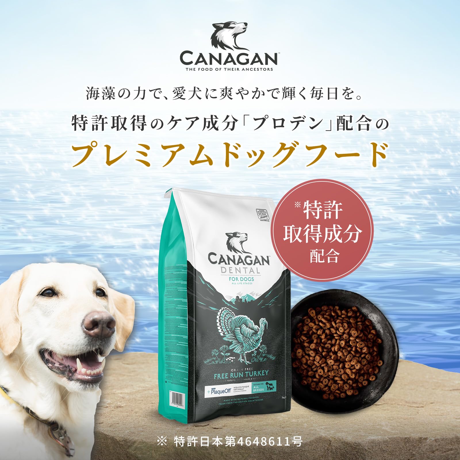 Amazon.co.jp: カナガンドッグフード チキンとカナガンデンタル