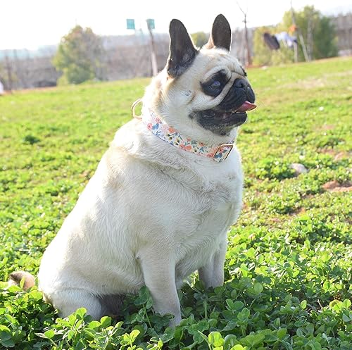 Miniatura 3 de Collar de perro con hebilla de metal, duradero y ajustable, suave para perros pequeños, medianos y grandes, talla M (13-18 pulgadas), flor 3