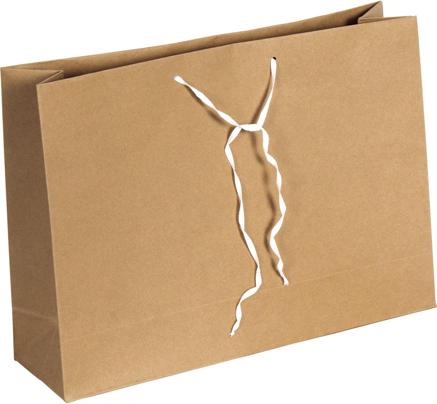 Bankers Box Storage Bag - Pack of 25