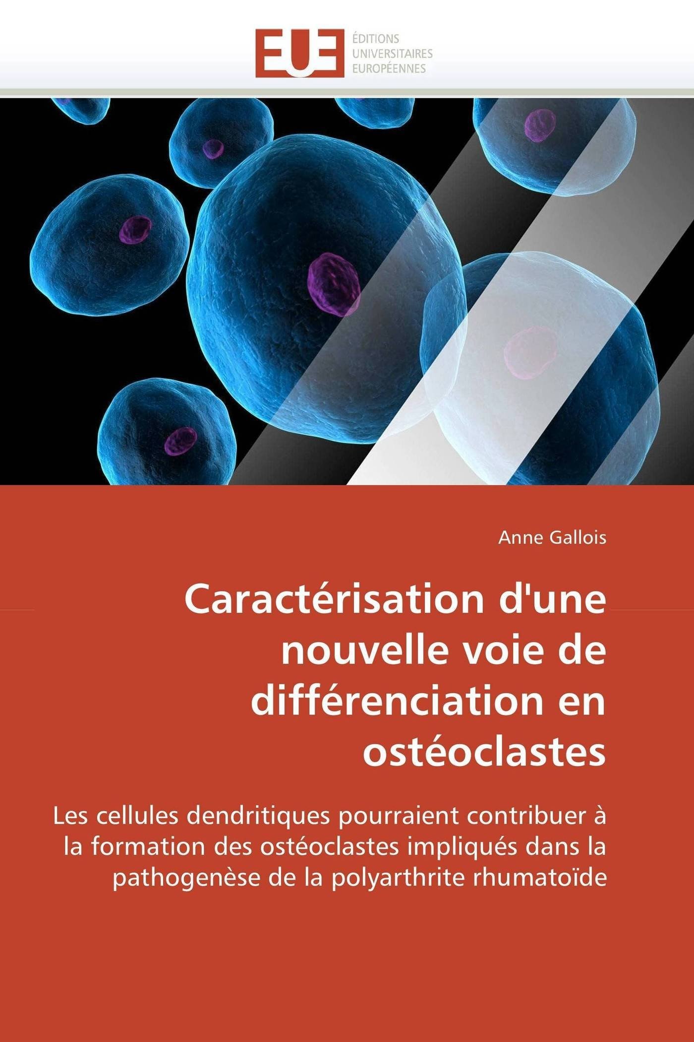Caractérisation d'une nouvelle voie de différenciation en ostéoclastes (Omn.Univ.Europ.)