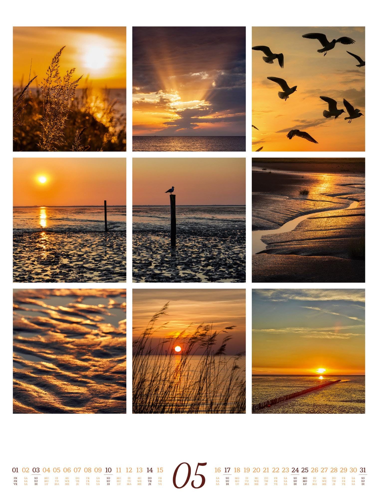 Inspiration Natur Kalender 2026 | Vielfältiger Natur-Kalender im großen Hochformat (50x66 cm) | Mehrteilige Bildmosaike im Triplet-Stil