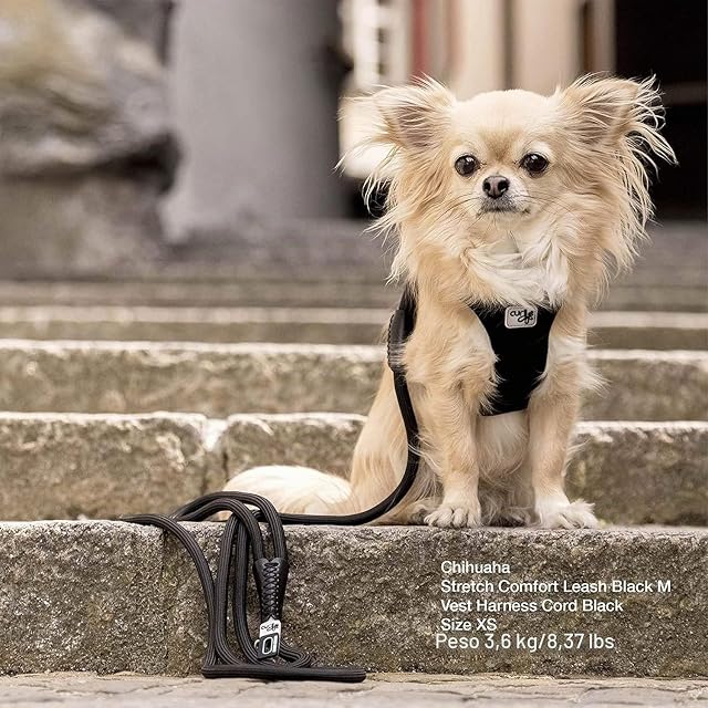 Foto 4 de 4 de Stretch Comfort Leash Light-Tan M