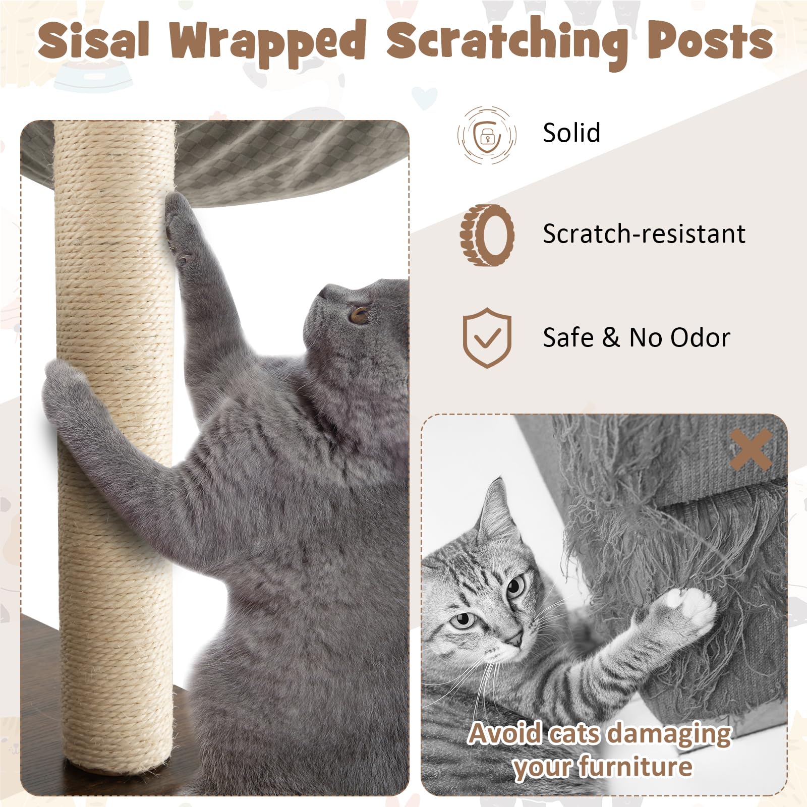 View 4