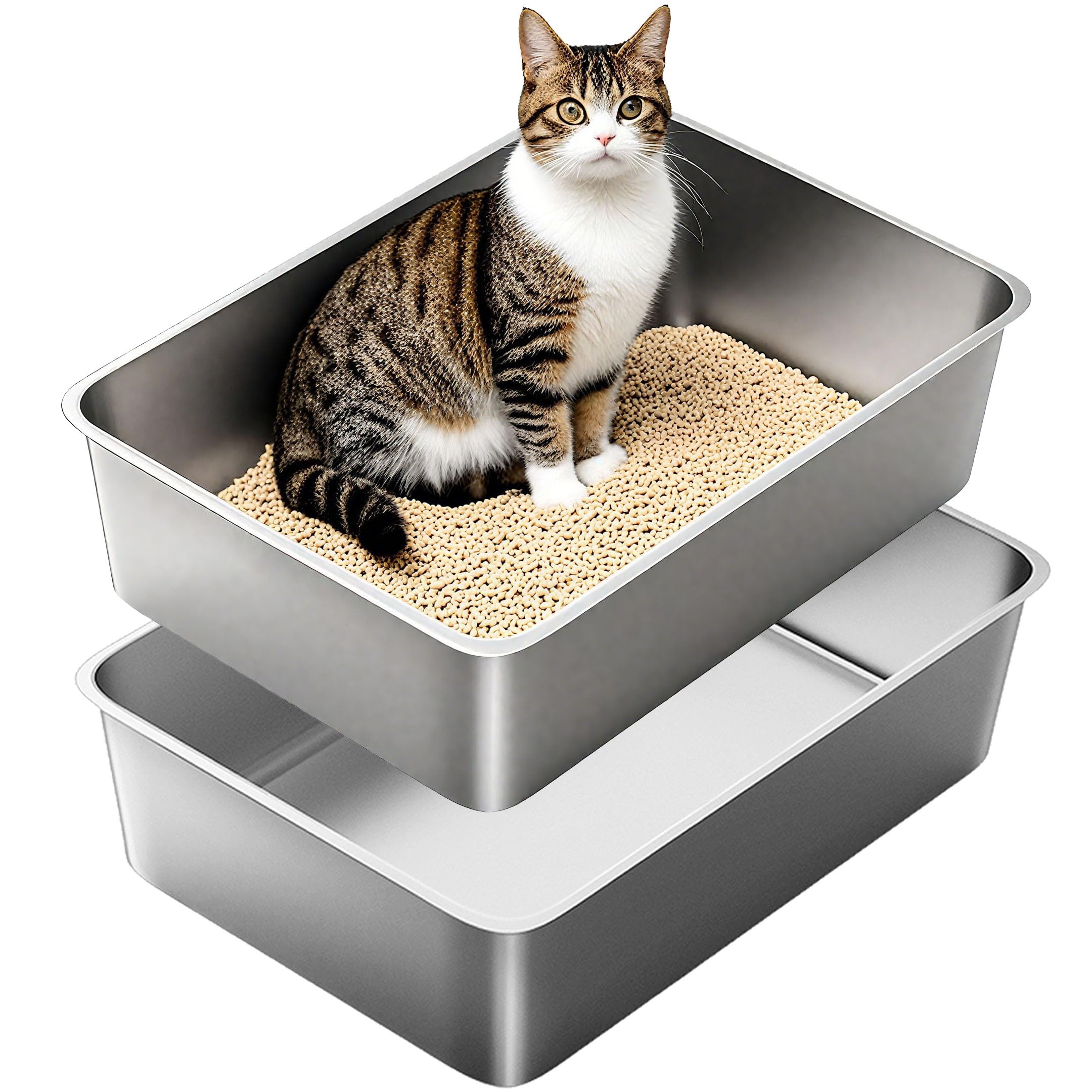 Lettiera Gatto In Acciaio Inox – Doppio Filtro, Antiodore, Facile Da Pulire, 50x35x15 Cm, Per Più Gatti