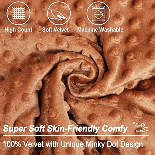 Miniatura 4 de PHF Minky - Funda de almohada de lunares de 20 x 20 pulgadas, paquete de 2 fundas de cojín de terciopelo real de burbujas de Minky suave, acogedora,